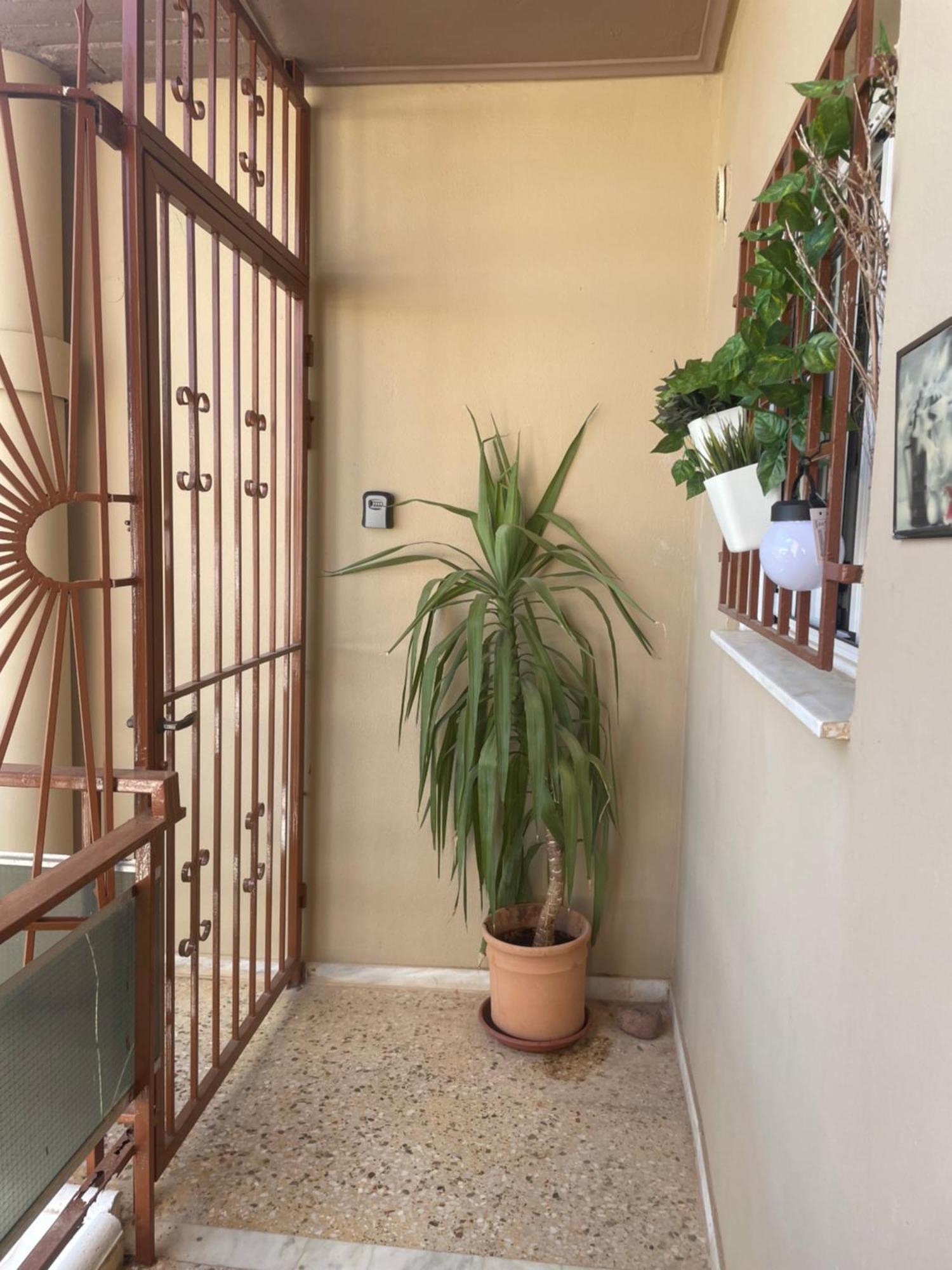 Seaside Argo Apartment Porto Rafti Bagian luar foto